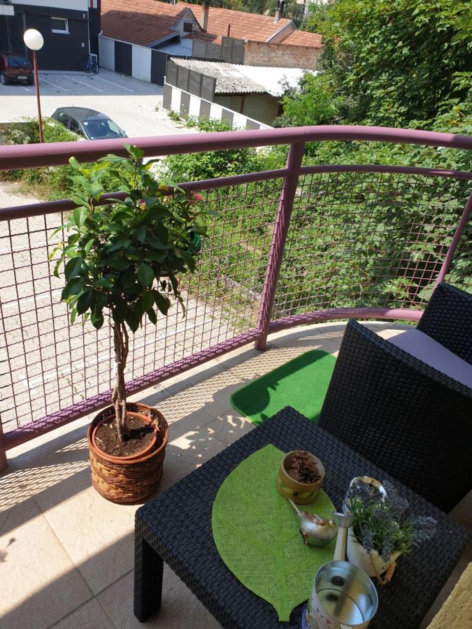 Lux Apartman Чачак Экстерьер фото